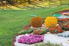 Flower Beds In A Shape Of An Apples