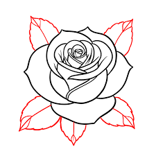 how to draw roses 8 easy step by step
