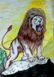colour pencil sketch lion at rs 2500