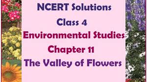 ncert cl 4 evs solutions chapter 11