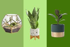 46 best pots and planters on amazon