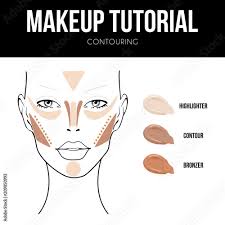 contour makeup makeup woman face chart