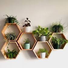 Design Tips For Your Diy Plant Wall