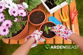 10 tips for spring gardening tasks to