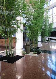 Atrium Bamboo Garden Award Winning