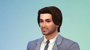 terry anderson free sims 4