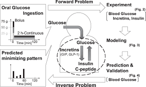 Logical Design Of Oral Glucose Ingestion Pattern Minimizing