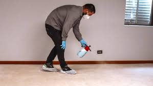 carpet cleaning green t services