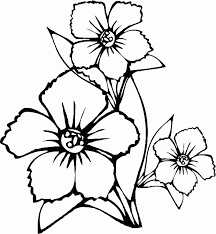 Maybe you would like to learn more about one of these? Disegni Fiori Semplici Coloring And Drawing