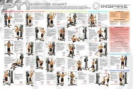 the gallery for multi gym workout