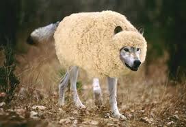 Risultati immagini per trasformazione da lupo ad agnello