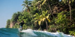 the ultimate sri lanka surf gu