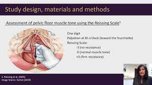 524 essing pelvic floor muscle tone