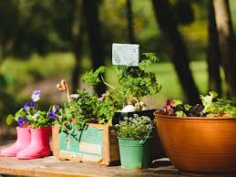 fragrant herb container combinations