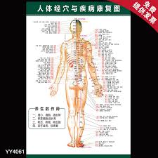 Buy Meridian And Human Health Rehabilitation Sections Tcm