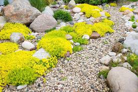 Gravel And Rock Installation