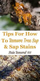 sap stain removal how to remove tree sap