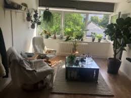 Wohnung bonn zentrum ab 210 €, genau meine neue wohnung: Wohnung Zur Miete In Bonn Zentrum Trovit