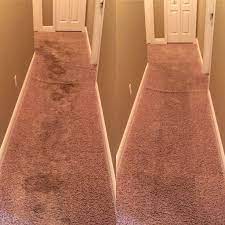 consider carpet replacement