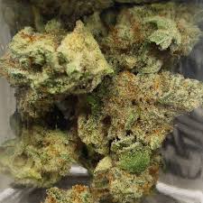 Cannabis strains are either pure or hybrid varieties of the plant genus cannabis, which encompasses the species c. Phat Mac Miracle Alien Cookies Platinum Line 3 5g Cascade Herb Company