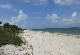 Cayo Costa State Park Florida State Parks