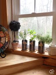 Diy Indoor Herb Garden With Tin Cans