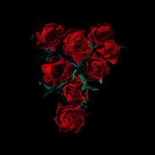 Red Roses 4K Wallpaper, Flower bouquet ...
