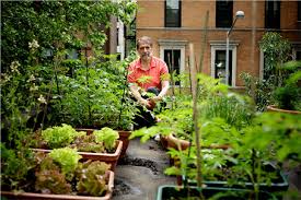 Rooftop Gardens And Urban Farms In Nyc