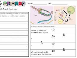Dna Structure Protein Synthesis H Lesson Aqa Gcse 4 6 1 B13 5