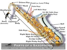 Buying Guide How To Choose A Saxophone The Hub