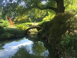 guide to exploring the brooklyn botanic