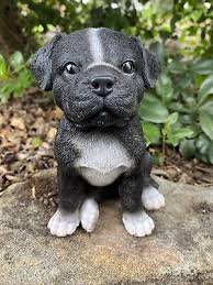 Staffordshire Staffy Puppy Dog Animal
