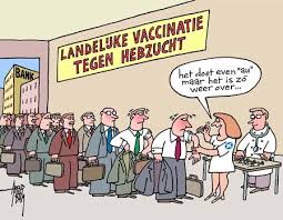 Gerelateerde afbeelding