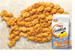 baby goldfish ers
