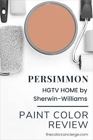 Persimmon Color Review 2024 Coty