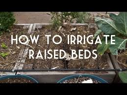 How To Irrigate Raised Bed Gardens With