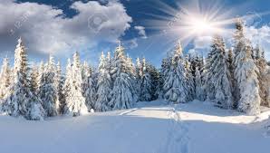 Beautiful Winter Landscape In The Forest Stock Photo, Picture And Royalty  Free Image. Image 16146226.