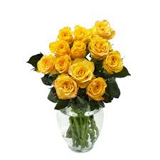 one dozen yellow roses fresh flower