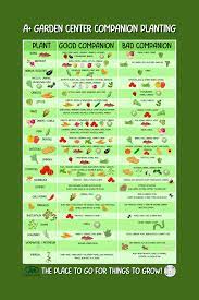 companion planting and plant ing