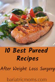 the 10 best pureed soft food recipes