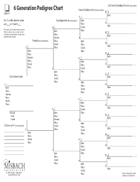 6 Generation Pedigree Chart Family Tree Chart Pedigree