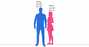 height comparison comparing heights