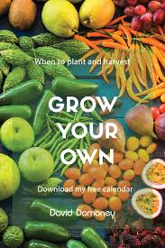 Vegetable Planting Calendar David Domoney