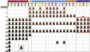 Wella Color Chart Koleston Sbiroregon Org