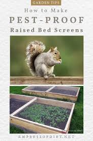 diy raised bed screens to keep pests