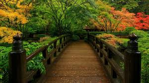 free zen garden forest bridge