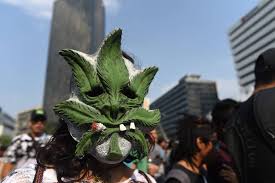 México legaliza totalmente la marihuana para consumo personal. Legalizacion De La Cannabis La Justicia Mexicana Allana El Camino A La Marihuana Recreativa Internacional El Pais