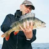 Vilka fiskar finns i Sverige?