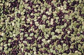green and brown seeds vegetable bean