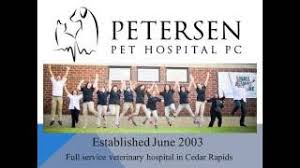 Get the inside scoop on jobs, salaries, top office locations, and ceo insights. Petersen Pet Hospital Video Youtube